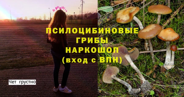 винт Арсеньев