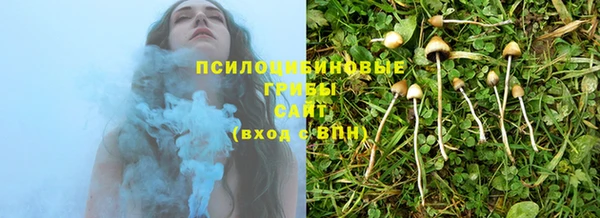 винт Арсеньев