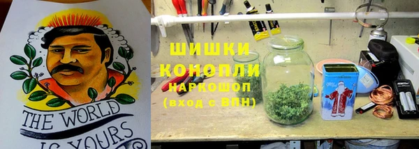 винт Арсеньев